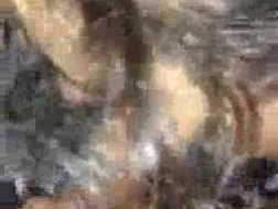 Vollbusige Hausfrau saugt und fickt live vor der Webcam