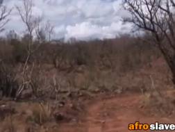 Seksowna afrykańska laska marzy o twardym jak skała kutasie, potrzebuje ostrego ruchania