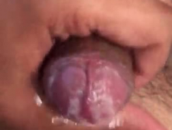 Cock loving ladies are getting fucked in front of the camera until they all get exhausted