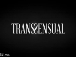 Transgender tramp fucks her former porn audience