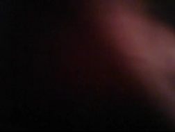 Martha Sharapova aime montrer son corps intime à la caméra pour nous