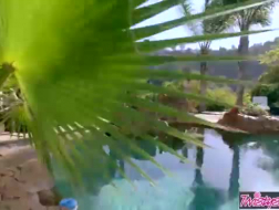 Soley2960 CRT ORA Webcam Live