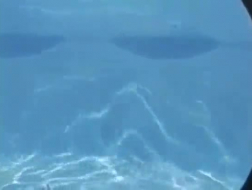 Masque putain sous-marin dans une chatte en peluche bleue géante