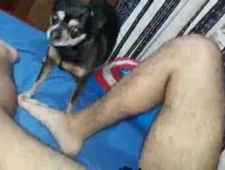 Skinny adolescente Lulu Chu chupando pau e sendo fodido em sua bunda adolescente ao orgasmo no ginásio no chuveiro após um longo treino