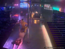 Hot babe strippers doggystyle