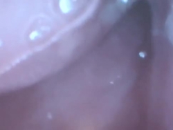 porno video del hada madrina de sherk