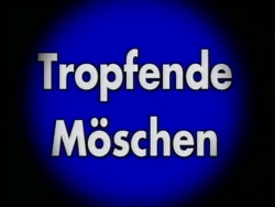 Teeny Exzesse 6Two - Tropfende Moschen two000