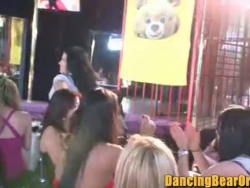 desagradable ninfas noche velada en el stripclub - dancingbearorgy