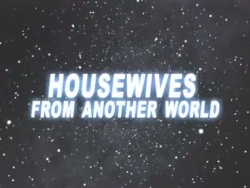 huisvrouwen uit een andere wereld 2010